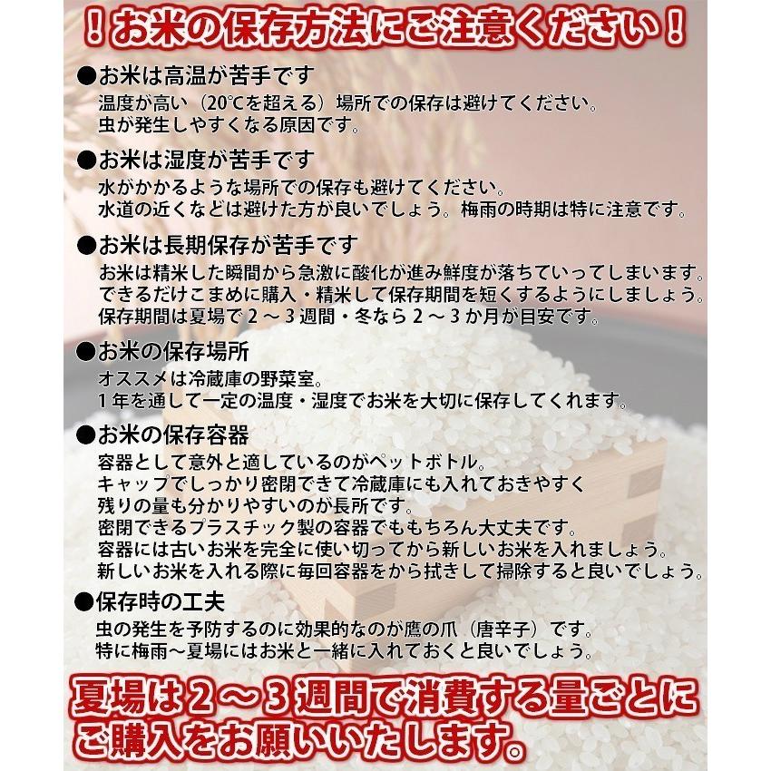 北陸・富山県産こしひかり（風の盆）5kg　送料無料!!(北海道、沖縄、離島は別途700円