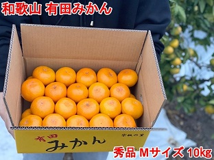 和歌山有田産！早生みかん≪10kg≫まる隆果樹園 CS025