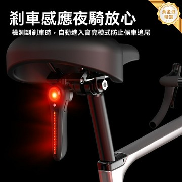 【智能感應剎車】自行車尾燈 單車尾燈 騎行裝備 警示燈 公路山地車通用 高亮LED USB充電 防水防震 夜騎安全必備