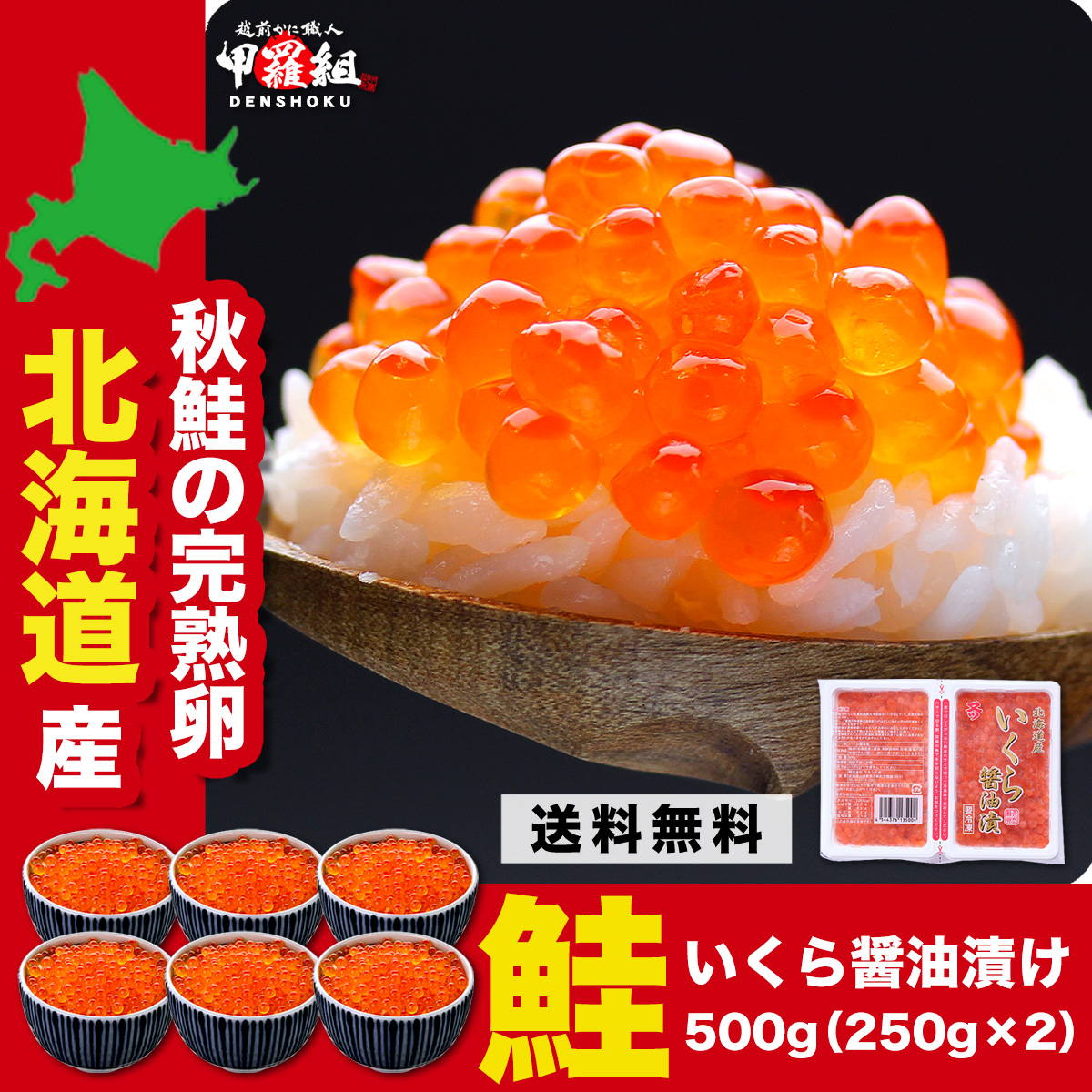 醤油漬け　FF　ギフト　いくら　鮭　(250g×2)　贈り物　いくら　化粧箱入り　イクラ　通販　LINEポイント最大0.5%GET　北海道産　極上　約6人前　500g　LINEショッピング