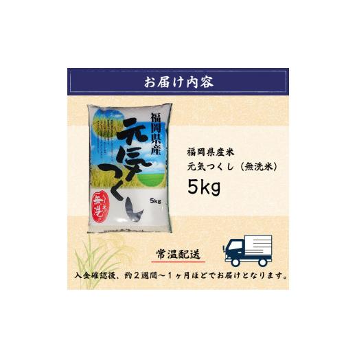 ふるさと納税 福岡県 添田町 福岡県産 元気つくし 無洗米 5kg(5kg×1) [a0196] 株式会社 藤食糧 添田町 ふるさと納税