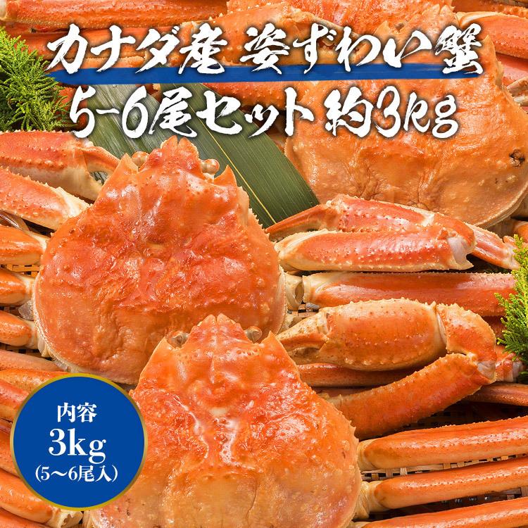 かに 蟹 姿ずわいがに 3kg セット (5〜6尾) 優良配送 かにみそ ズワイガニ カニ グルメ 食品 お歳暮 ギフト 10%クーポン