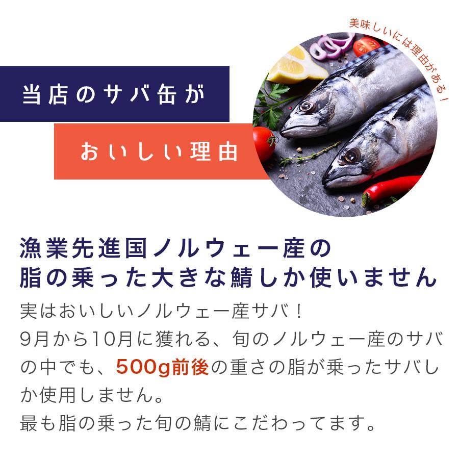 鯖缶 12缶詰め合わせセット（B）缶詰 高級 ギフト おすすめ サバ缶 家飲み おつまみ ノルウェー産 福井缶詰