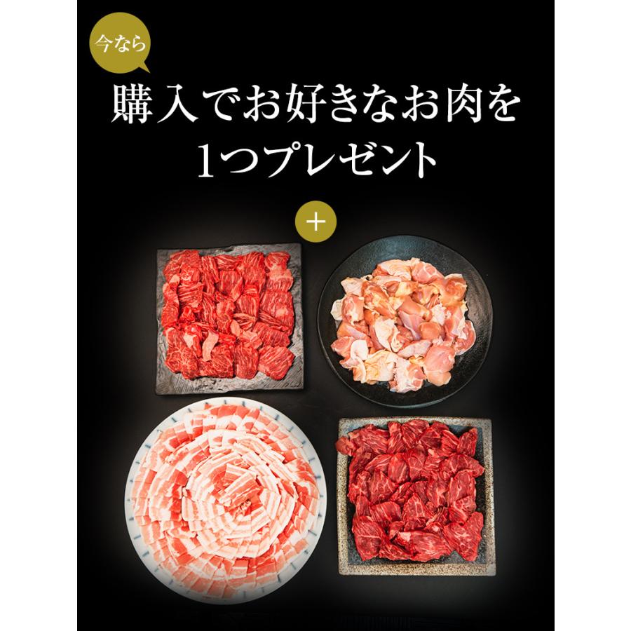 バーベキューセット 12-16人盛 BBQ 焼肉セット カルビ ハラミ 豚バラ とりもも 3.2kg 送料無料 食品 牛肉 メガ盛り 焼き肉 焼肉用 お肉 肉