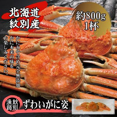 ふるさと納税 紋別市 ずわいがに姿 1尾約800g (無添加 かに ずわいがに 高品質)