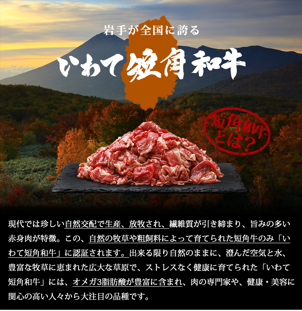 短角牛 切り落とし 500g 肉 牛肉 赤身肉 和牛 岩手県産 いわて短角和牛 250g×2パック