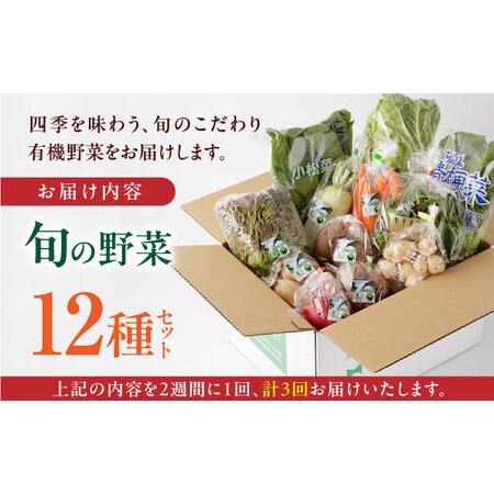 ふるさと納税  有機野菜 12種セット 詰め合わせ 野菜詰め合わせ 熊本県産有機野菜 山都町産有機野菜 産地直送 高原野菜 新鮮.. 熊本県山都町