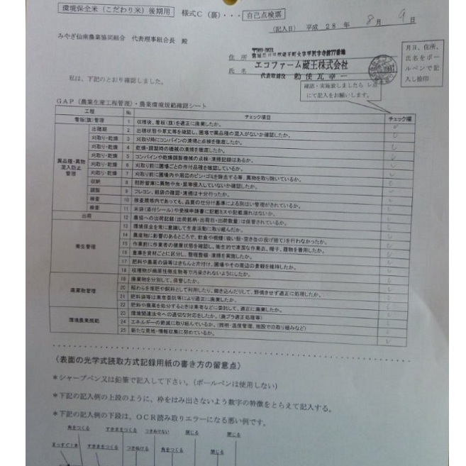 一等米 蔵王源流米10kg（ひとめぼれ）