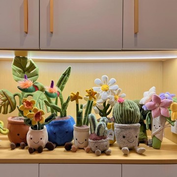 【限時下殺】公仔玩偶花盆 盆栽植物合集 花 龜背竹 富貴竹 水仙花 鬱金香 白蘭花 蘆薈 可愛 公仔玩偶 玩偶花盆