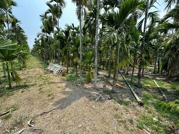 內埔東寧自強都計農地(S)臨五米路.自用置產.｜屏東縣內埔鄉新埔段