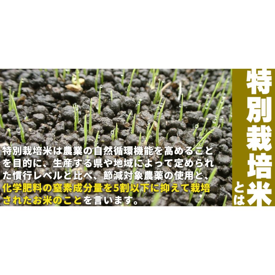 青森県産 はれわたり 米2023年度産 [※SP]