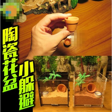 【台灣現貨】陶瓷型守宮屋 花盆躲避 加濕洞穴 加濕躲避 蜘蛛 蝎子 鼠婦 躲避洞 躲藏屋 棲息屋 洞穴 山洞 角蛙 蛇