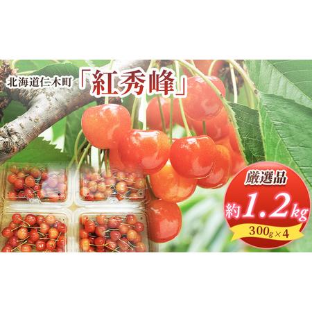 ふるさと納税  先行受付 2024年7月から出荷 北海道 仁木町産 サクランボ 紅秀峰 1.2kg 厳選品  松山商店 北海道仁木町