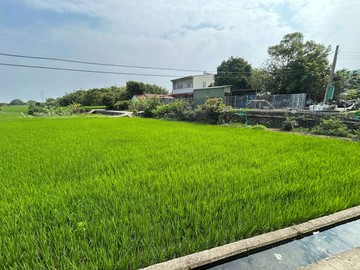 霧峰舊正交流道旁開價接近公告地價農地｜台中市霧峰區舊正東段