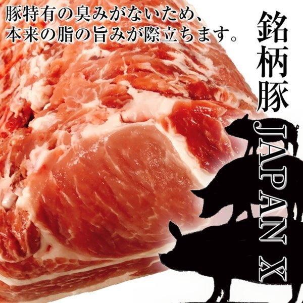 豚ロース とんかつ ステーキ 極厚切り 5枚 約1kg 豚肉 ポーク 国産 蔵王牧場 JAPAN X