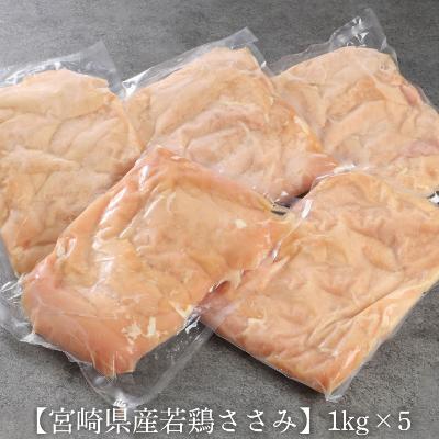 ふるさと納税 木城町 宮崎県産若鶏ささみ5kg(1kg×5パック)