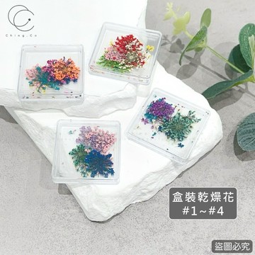 台灣現貨 免運 盒裝乾燥花 4種 飾品 乾燥花 飾品花 美甲飾品 美甲材料 Ching co 青可 美甲 美甲工具