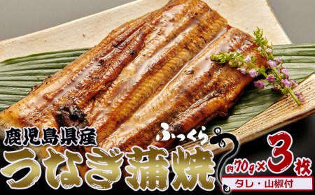 鹿児島県産 うなぎ蒲焼 約70g×3枚