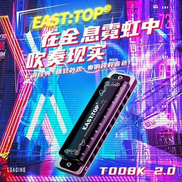 【台灣出貨】T008K2.0藍調布魯斯十孔口琴初學者入門10專業高級演奏
