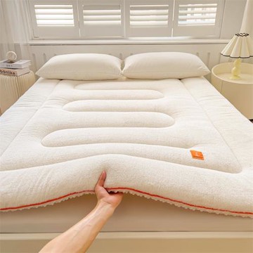 2024加厚保暖北極絨厚床墊家用臥室床褥墊床護墊秋冬季雙人