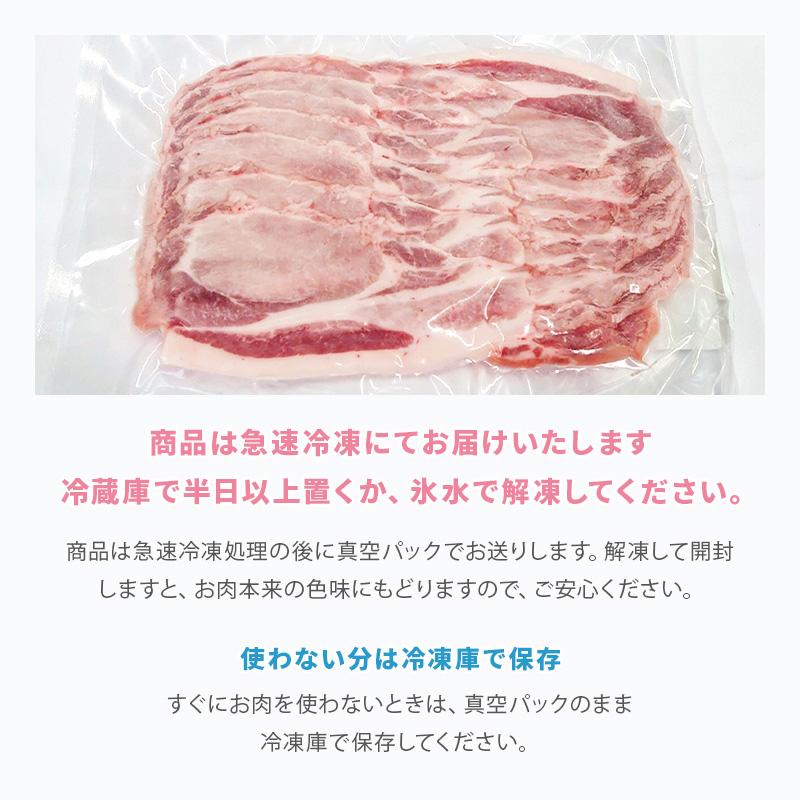 観音池ポーク焼肉セット　豚バラ　肩ロース　ウインナー　フランクフルト　宮崎ブランドポーク　送料無料