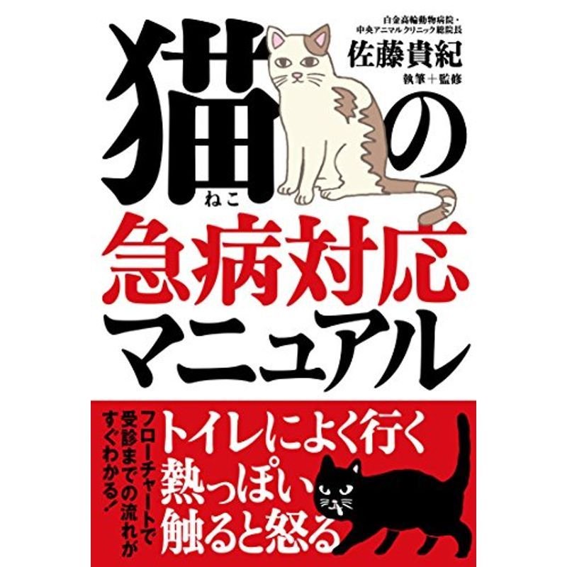 猫の急病対応マニュアル