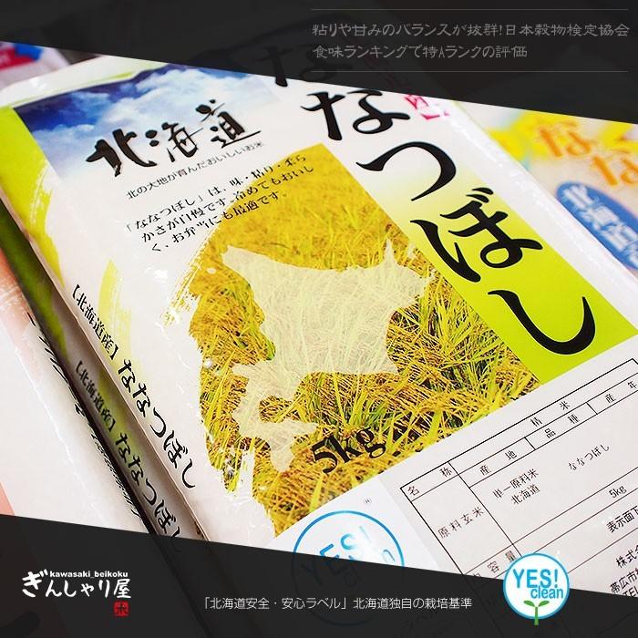 新米 米 10kg 5kg×2袋セット お米 ＹＥＳクリーン ななつぼし 北海道産 白米 令和5年産 送料無料