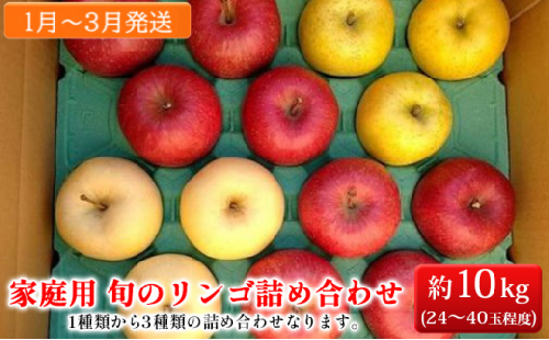 家庭用 旬のリンゴ詰め合わせ 約10kg糖度13度以上