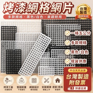 大網片 多款規格 擺攤網片 網格 平面網 烤漆網片 鐵網 夜市網片 大網格 掛網 網片寵物圍 網格掛籃 網片 鐵網格