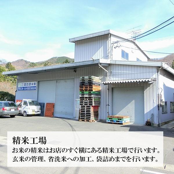 新米 令和5年産 新潟県 魚沼産コシヒカリ 900g 10個セット 検査1等米  景品 賞品 すわげんの省洗米