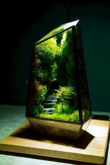 石階苔蘚之林 生態瓶 植物 盆景 玻璃微景觀