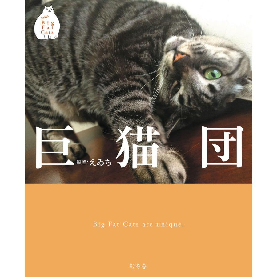 幻冬舎 巨猫団 えゐち