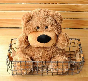 Zakka 鄉村風仿舊鐵線長方形雙提把大鐵籃/置物籃/收納籃《質感超好》★很可愛喔★