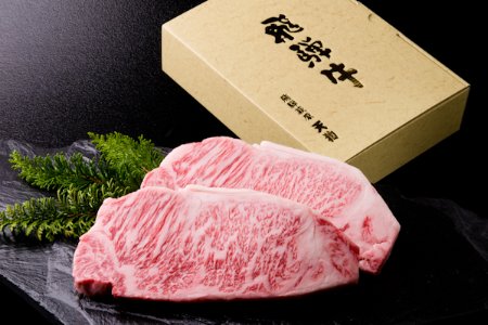 飛騨牛サーロインステーキセット 約 計400g（2枚）牛肉 ブランド牛 国産