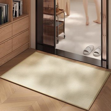 跨境純色入戶門腳墊衛生間吸水墊入戶門防滑墊戶外耐臟速干地毯