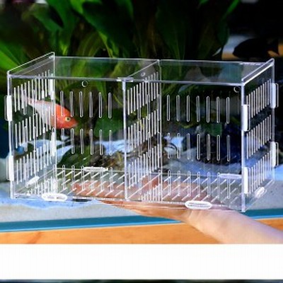 水槽 おしゃれ インテリア 隔離ボックスアクリルグッピーの隔離ボックス 稚魚 L20 x W20 x H16 cm