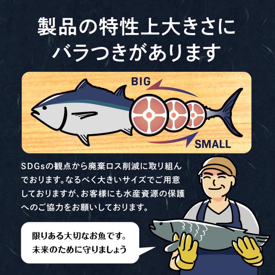 マグロテール 本まぐろテールステーキ 希少部位 冷凍テール1kg (2〜4枚) 純国産天然本鮪 お歳暮 プレゼント ギフト 年末年始 海鮮バーベキュー  送料無料