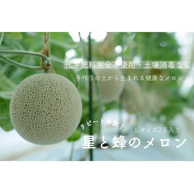 ふるさと納税 御代田町 星と蜂のメロン　Lサイズ2玉