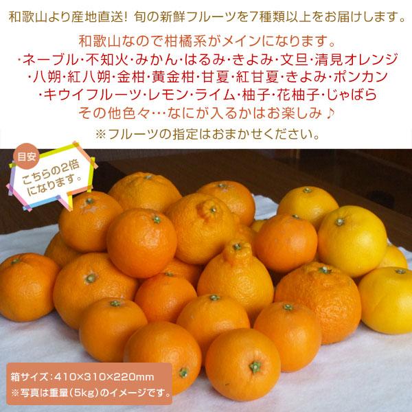 和歌山より産地直送！ おまかせフルーツセット 7種類以上 約10kg［送料無料］ ■期日指定不可・発送翌日受取限定 ※翌日お届け時間帯にご注意ください■