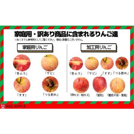 ふるさと納税  ジュース用 加工用 訳あり りんご 約10kg 青森県弘前市