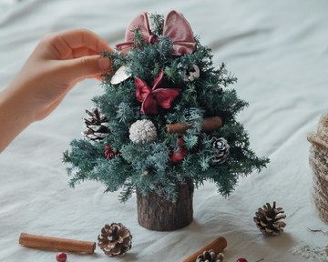 聖誕小樹材料包