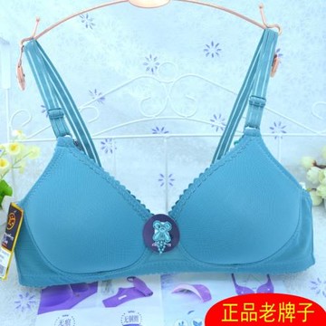 耐穿不變形無鋼圈兩排扣文胸內衣
