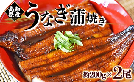 フジ物産 国産養殖うなぎ蒲焼き 約200g×2尾(高知県産鰻) 鰻 ウナギ かばやき 土用の丑の日 スタミナ 朝食 夕飯 有頭 おつまみ 丼ぶり Bfb-0002