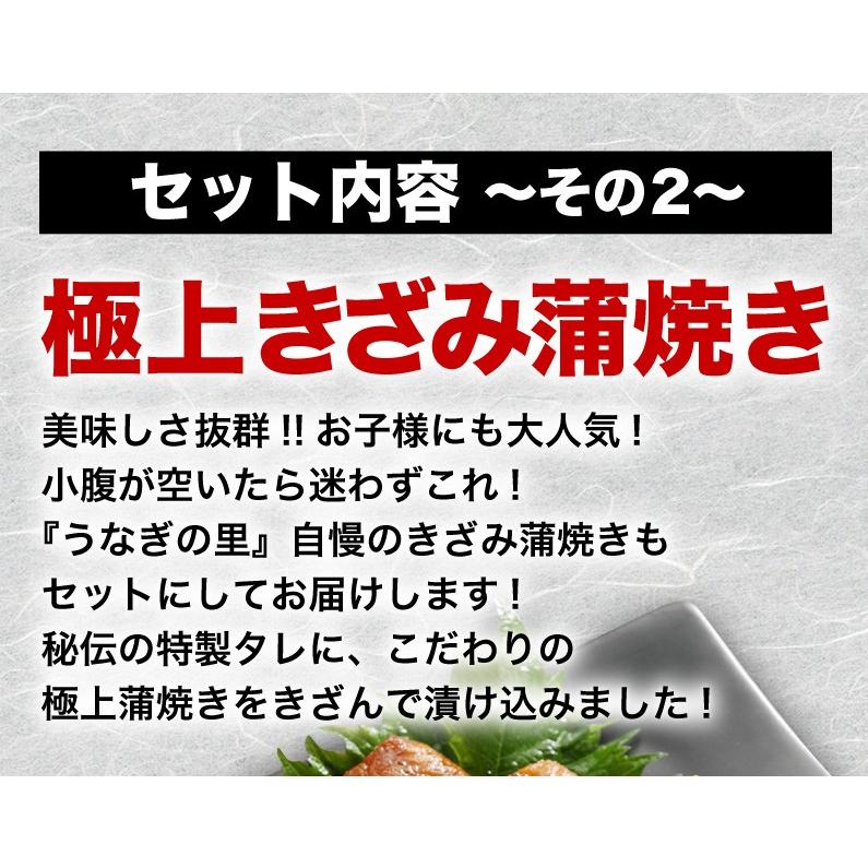 うなぎ 国産 送料無料 1kg 鹿児島県産鰻 極上蒲焼き メガ盛りAセット カット蒲焼10食 きざみ蒲焼10食 合計20食 クール