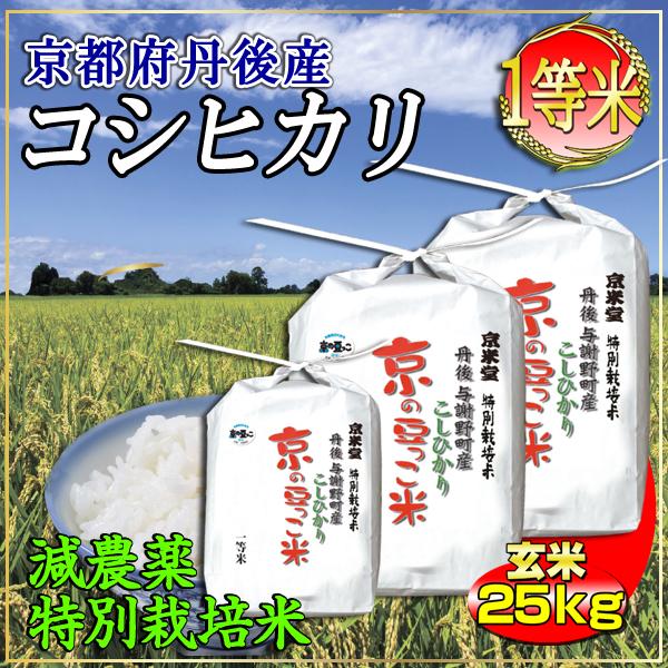 新米 お米 玄米 25kg 白米 22.5kg コシヒカリ 京都米 丹後産 京の豆っこ米 一等米・特別栽培米 令和5年産