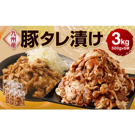 ふるさと納税 九州産豚 タレ漬け 3kg (500g×6袋) 豚肉 お肉 熊本県水俣市