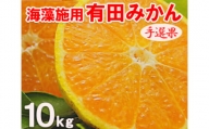 海藻施用有田みかん 手選果 10kg※2023年11月上旬～2024年1月中旬頃に順次発送予定※着日指定不可 ≪ 有田 みかん ミカン 蜜柑 柑橘 果物 フルーツ 国産 和歌山 ≫