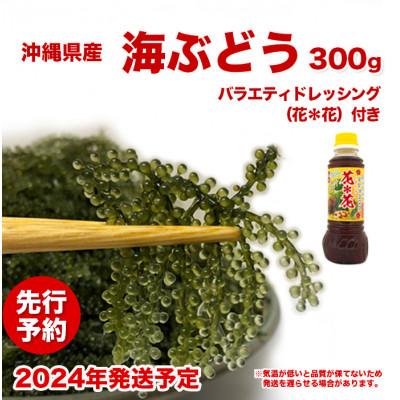 ふるさと納税 南城市 新鮮!海ぶどう300g 花花ドレッシング