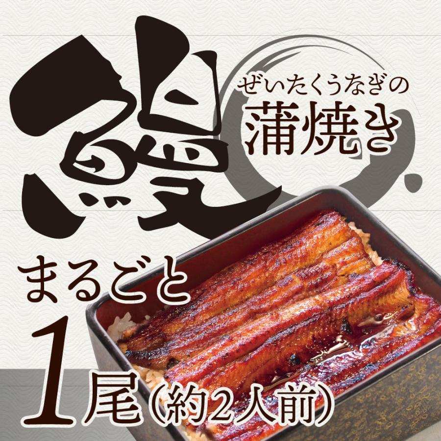 うなぎ蒲焼 1本入り（約200ｇ）たれ・山椒付き 鰻 かば焼き 土用 丑の日 湯煎 レンジOK 簡単解凍するだけ 惣菜 冷凍当日発送