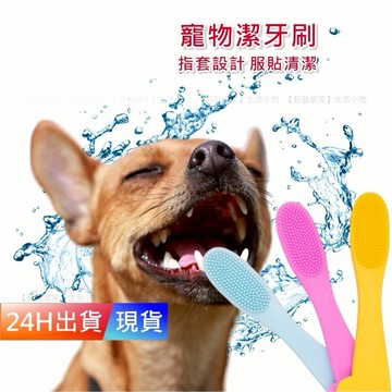 【寵物潔牙刷】 TPR材質 寵物指套 指套刷 寵物牙刷 寵物潔牙 寵物指套牙刷 小狗貓咪指套 H10310